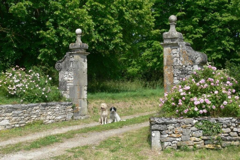 La Maisou-Pastel Et Fleur Sérignac Exteriér fotografie